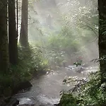 Le Clos Des Vosges * Ban-sur-Meurthe-Clefcy