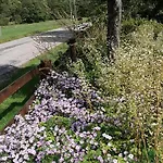 Le Clos Des Vosges * Ban-sur-Meurthe-Clefcy