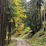 Le Clos Des Vosges Apartament Ban-sur-Meurthe-Clefcy