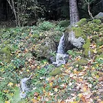 Le Clos Des Vosges Ban-sur-Meurthe-Clefcy