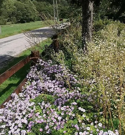 Le Clos Des Vosges * Ban-sur-Meurthe-Clefcy