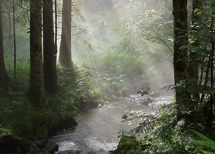 Le Clos Des Vosges * Ban-sur-Meurthe-Clefcy