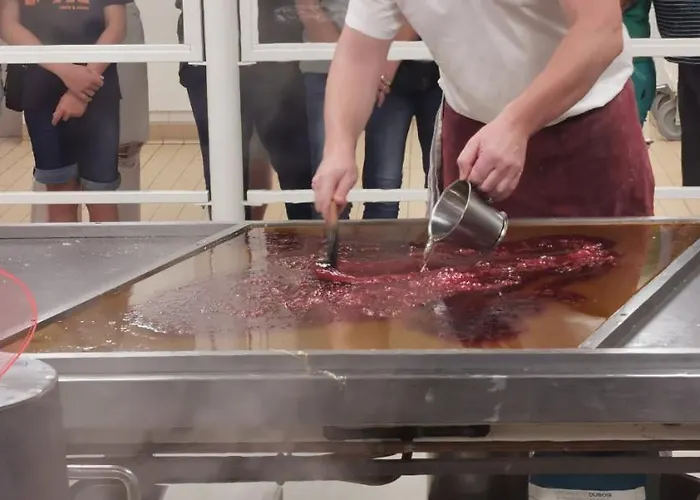 Apartmán Le Clos Des Vosges