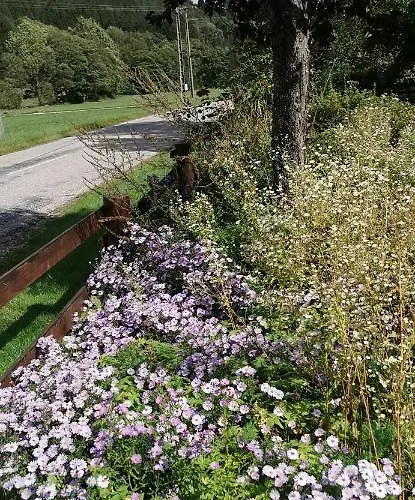 Le Clos Des Vosges * Ban-sur-Meurthe-Clefcy