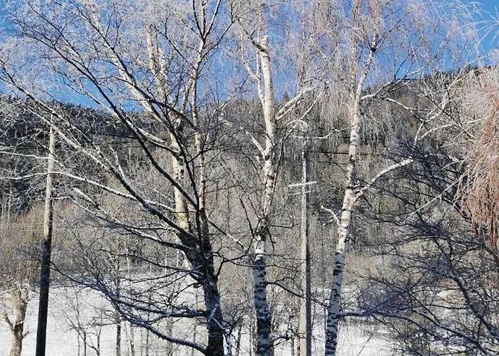 Le Clos Des Vosges *