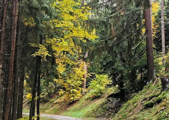 Le Clos Des Vosges Lejlighed Ban-sur-Meurthe-Clefcy