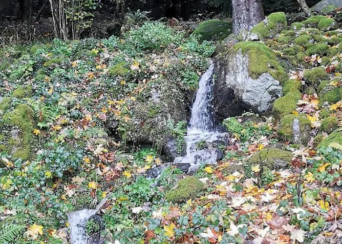 Le Clos Des Vosges Ban-sur-Meurthe-Clefcy