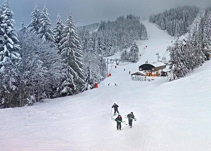 Le Clos Des Vosges * Ban-sur-Meurthe-Clefcy