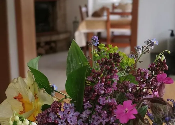 Le Clos Des Vosges Apartmán